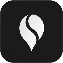 FocusY logo